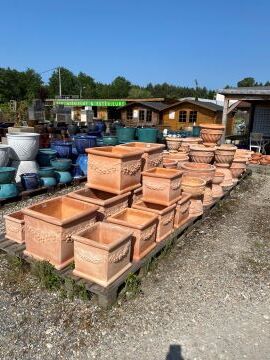 Gros arrivage de plantes méditerranéennes, statues, gros pots en grès émaillés,...