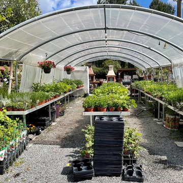 Plants de légumes à Saint-Aubin-de-Médoc